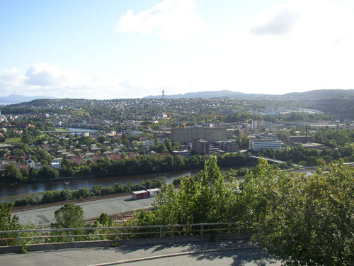 p8310116